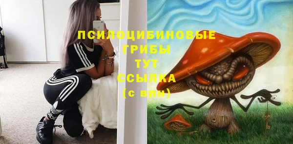 МДПВ Белокуриха