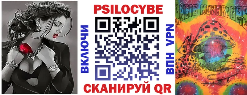 Псилоцибиновые грибы Psilocybe Верхний Уфалей